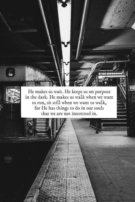 3976639c124bed062dee73853d1b0f41.jpg