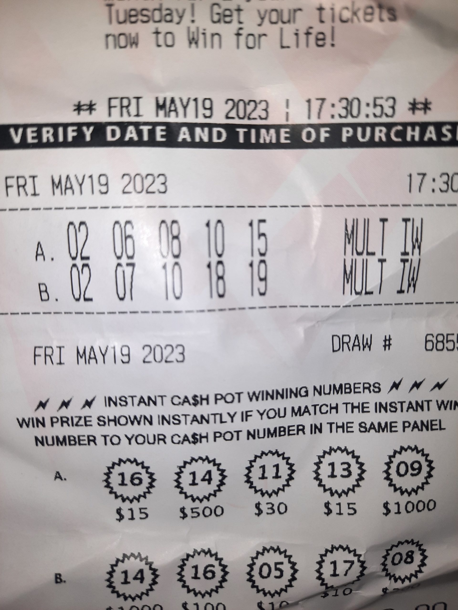 16845476335112721313341039571643.jpg