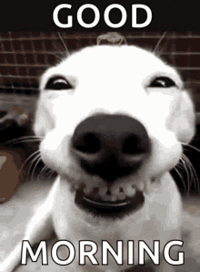 07DCB007-17B4-45A5-A848-B013EEB83565.gif