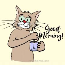 92B4BD41-2D93-4204-8C95-3F8D9AE57815.png