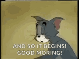 96865BF8-2E74-45EC-BB3C-1826BC76A8C7.jpeg