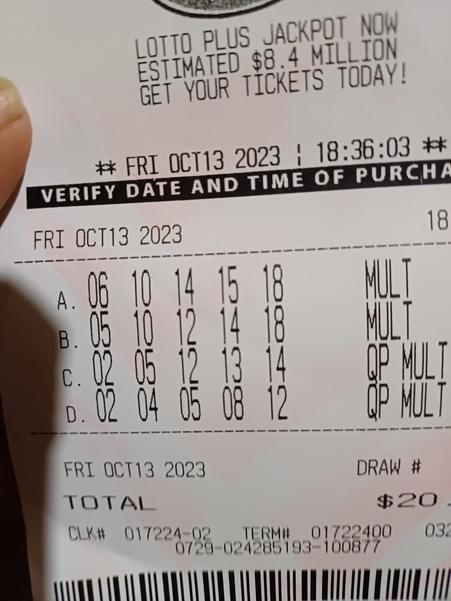 16972430996034012767440220015956.jpg