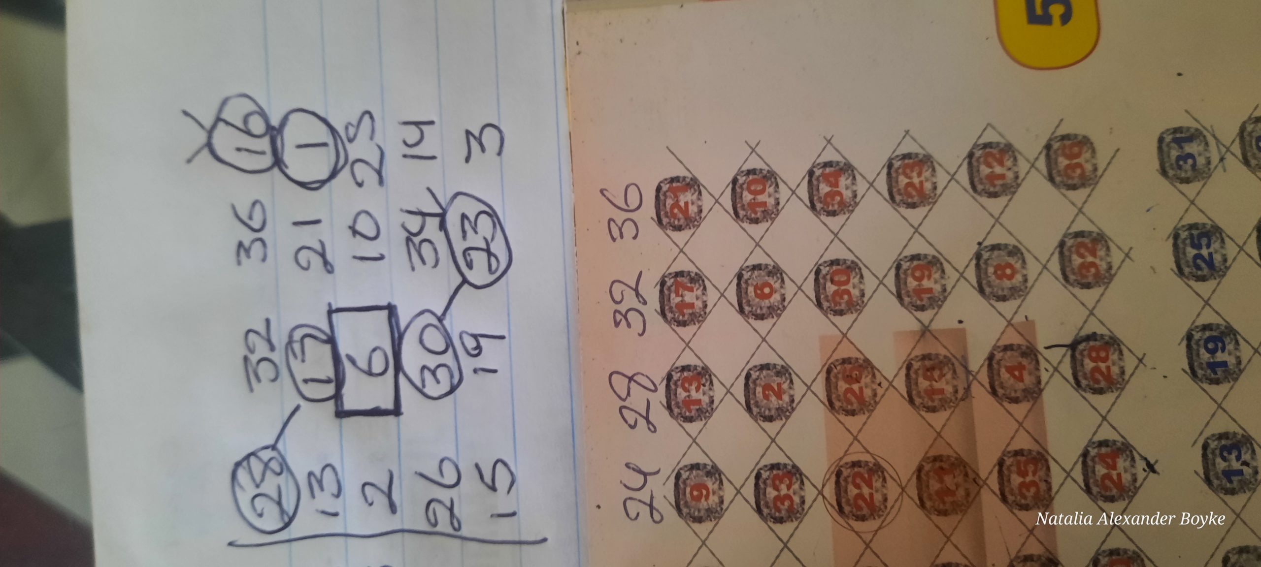 1703178399198641850083697046322.jpg