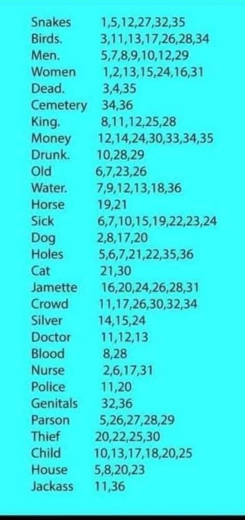 0FBE891A-E204-455E-A5E9-70B37BA92922.jpeg